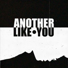 Another like you