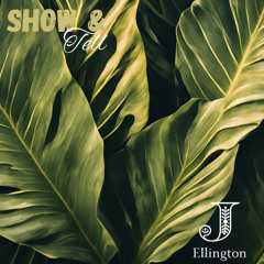 Show & Tell (Blinded from You)