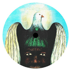 PREMIERE: Unknown Artist - Dove (Unknown Edit) [Free Download]