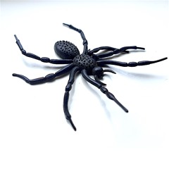 SaPhCo - Hinter der Angst