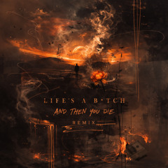 LIFE'S A B_TCH AND THEN YOU DIE (H97E EDIT)