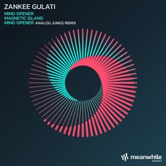 Zankee Gulati - Mind Opener (Original Mix)