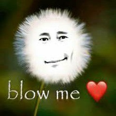 Frantic Carnage Trio H!MTT take - Phase 1 Uncontrollable Starvations.mp3 BY THE RANDOMGUY