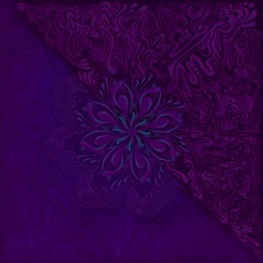 Wildflower x Black Box 12/28 - cellenight