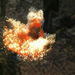 Sending Up A Flare