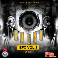 DJ TAY WSG - SOUND EFX VOL.8 2025 (AUDIO PREVIEW)