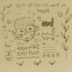 easy plant :)