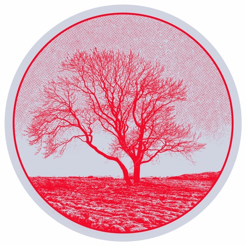 PALMS026 // Computer Data - Baum EP