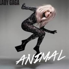 Animal (Official Studio Version)