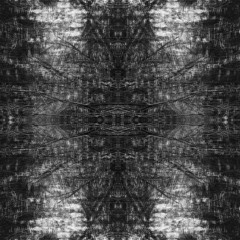 Mycelium Conections - Mr.Black.Mystery