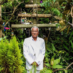 032 o nosso jardim florou