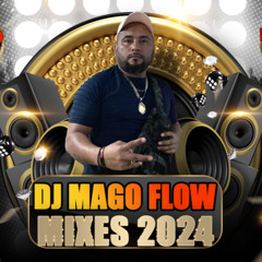 LOS TIGRES DEL NORTE & DJ MAGO FLOW - MIX-2024