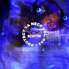 Protect Ya Neck Vol. 003