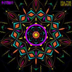 Soul Vibe (feat. Nathan Nicholas)