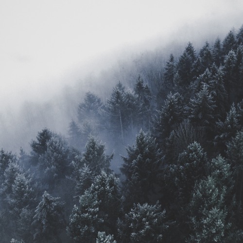 Animus / Feat Amalia Fonfara