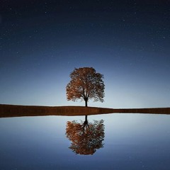 Most Emotional Ambient