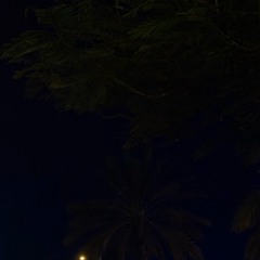 هعيش ازاي - درجالي