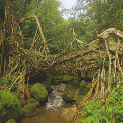 be strong. like a bridge