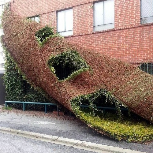 ๊ฟ์ด์๋ค.