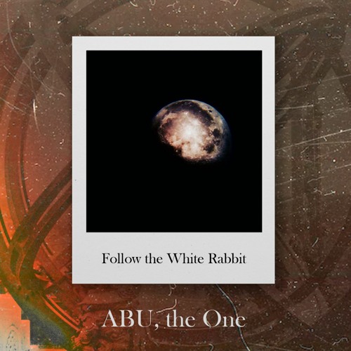 Follow the White Rabbit