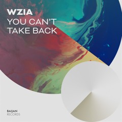 WziA - You Can't Take Back
