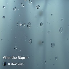 after-the-storm 4.