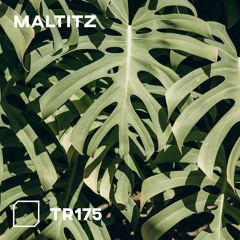 TR175 - Maltitz