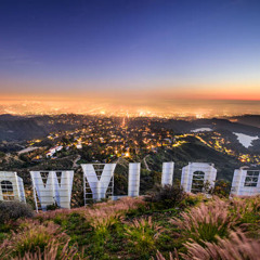 Hollywood Nights