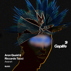 Aron Quaid & Riccardo Tucci - Awareh