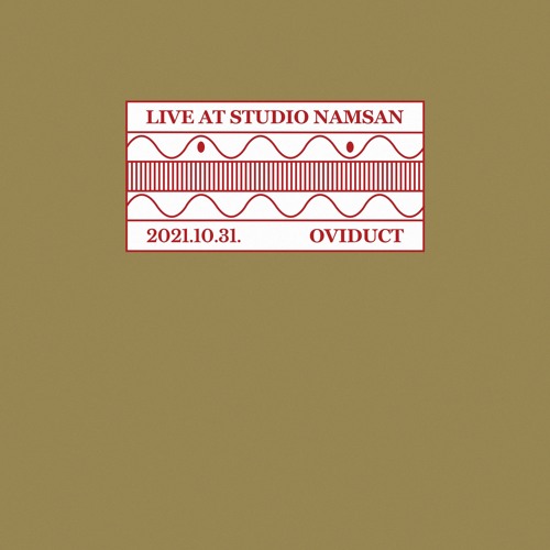 Live at Studio Namsan : Oviduct (October 2021)