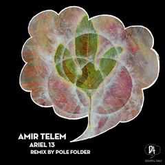 PREMIERE: Amir Telem - Ariel 13 (Pole Folder ‘Autumn Sunset’ Remix) [Dreaming Awake]