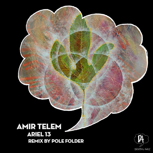 PREMIERE: Amir Telem - Ariel 13 (Pole Folder ‘Autumn Sunset’ Remix) [Dreaming Awake]