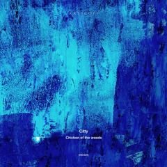 Citty - Hobostromo [Artscope]