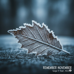 REMEMBER NOVEMBER