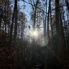 keep me together / fall apart (georgia demo)