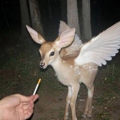 if u ever feel like a deer smoking a cigarette: a peachairee set