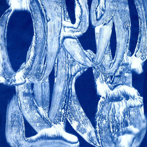 quadratus (Chapter X25)