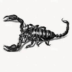 stung