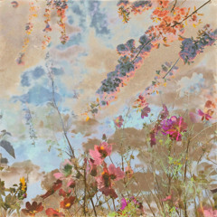 there will be birds in september