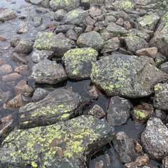 Den Ansigtsløse Nabo (trailer)