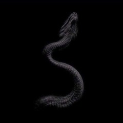 Snakes (Prod. By 11:01)