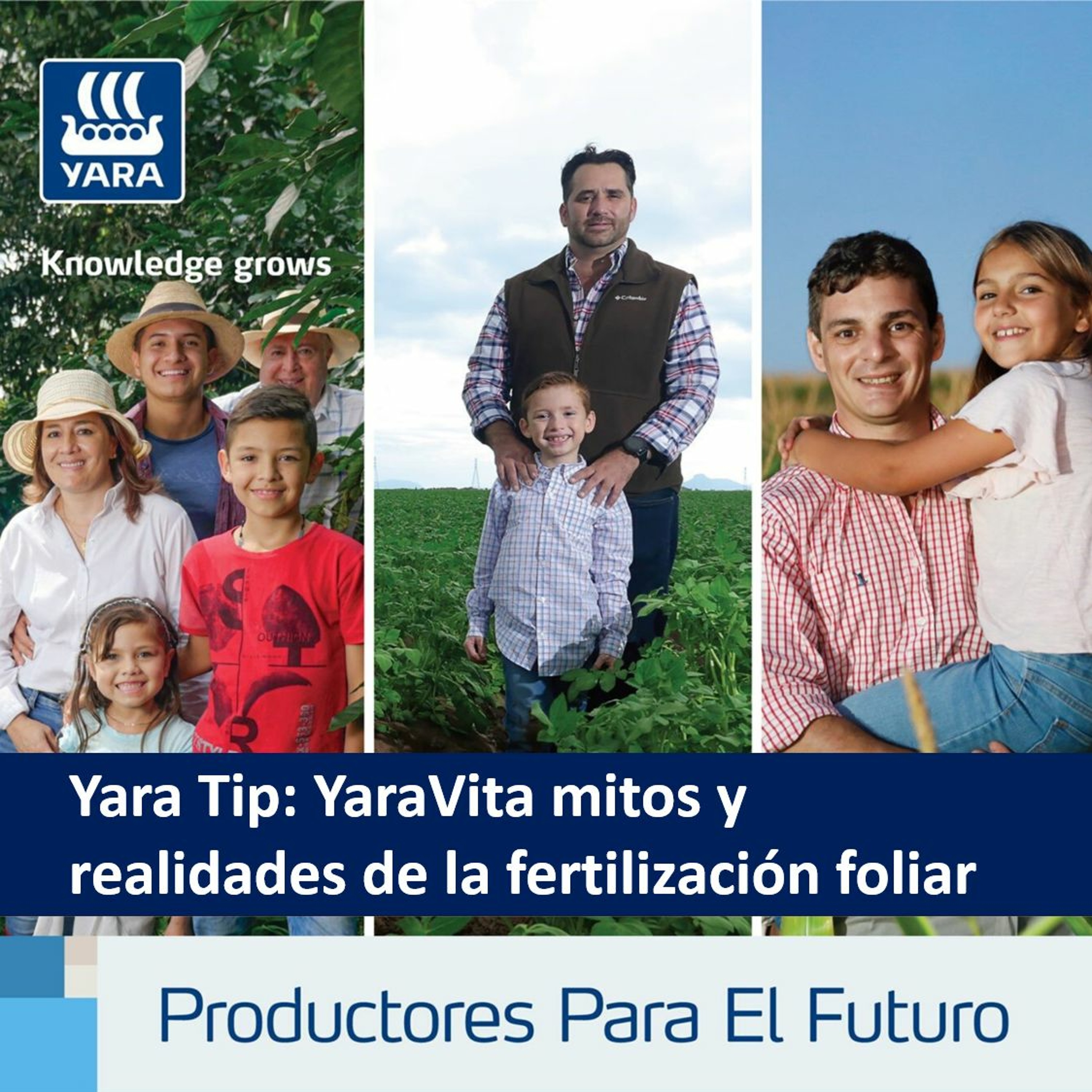 Productores Para El Futuro
