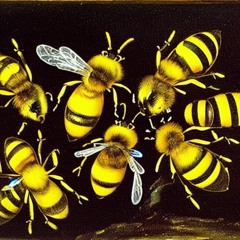 Telling the Bees [original instrumental]