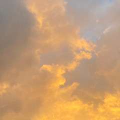 alguma coisa sobre voce