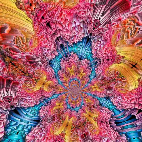 Stream Forest Psychedelic Mixtape 16 10 2022 By Joojoo Listen Online