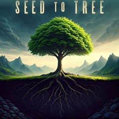 Seed to Tree (alternative)