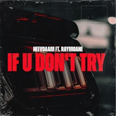 NeevDaam Ft. Raymoane - If U Don't Try