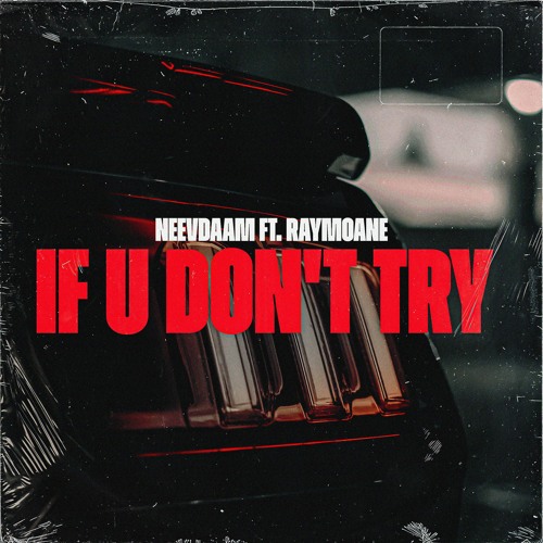 NeevDaam Ft. Raymoane - If U Don't Try