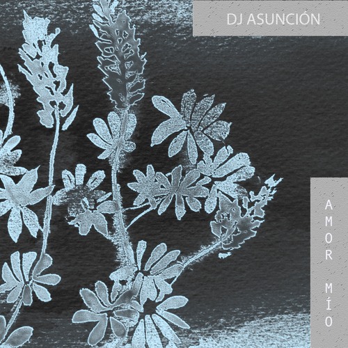 Dj Asunción - Para Arriba