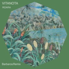 Vitanota - Roara(Barbaros Remix)